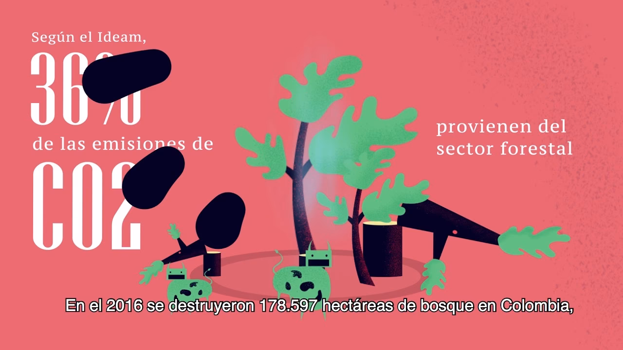 ¿Qué es una acción de tutela?