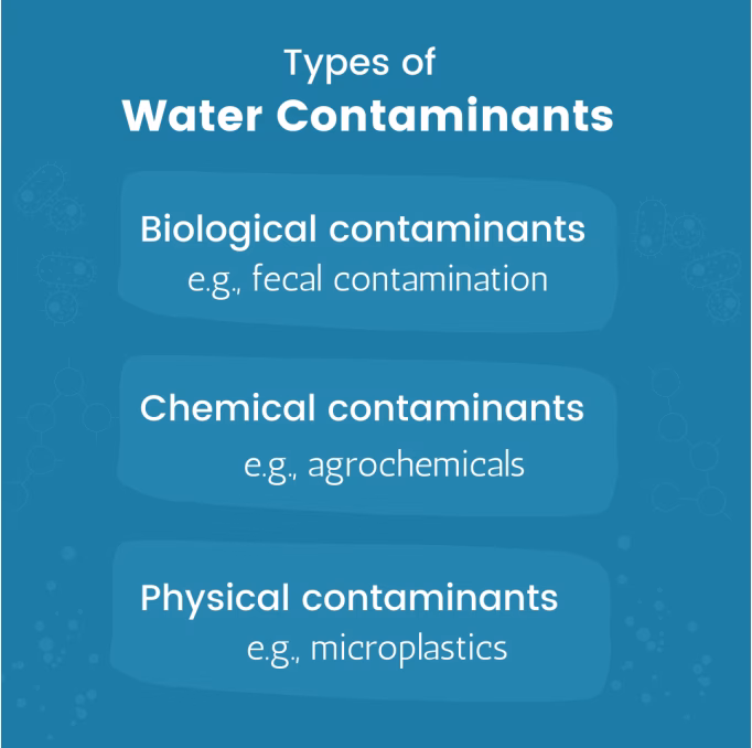 What are the different types of water pollution?
