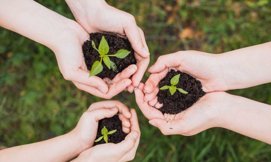 ¿Dónde puedo estudiar Gestión Ambiental?
