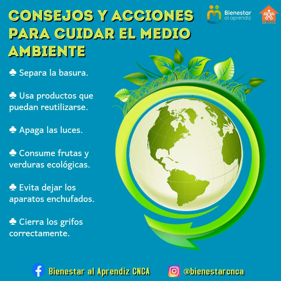 ¿Cómo contribuir al cuidado del Medio Ambiente?