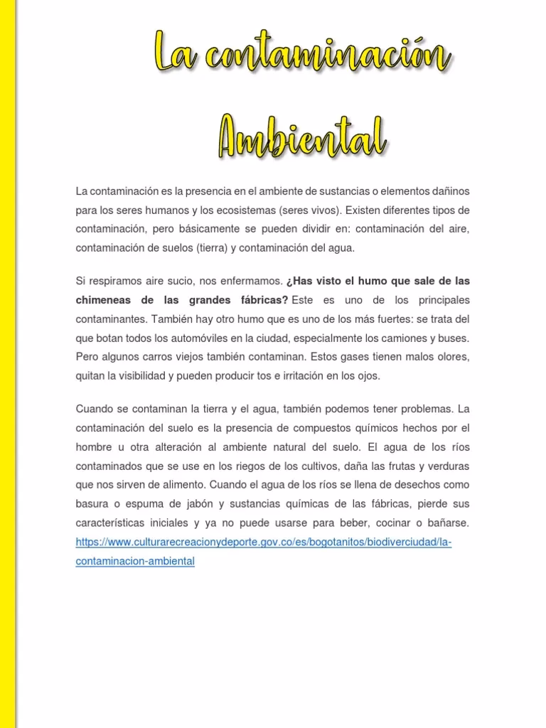¿Cuáles son los contaminantes?