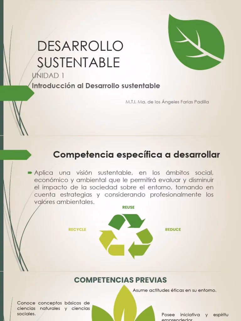 ¿Qué es la confluencia en la propuesta de Desarrollo Sustentable?