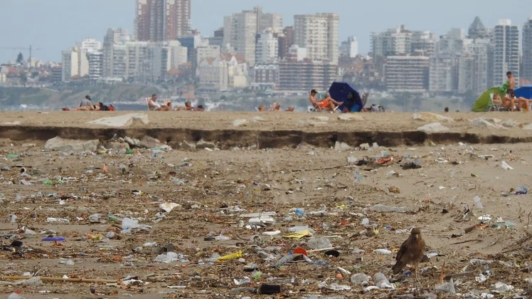 ¿Cuáles son las necesidades del Ministerio de medio ambiente?