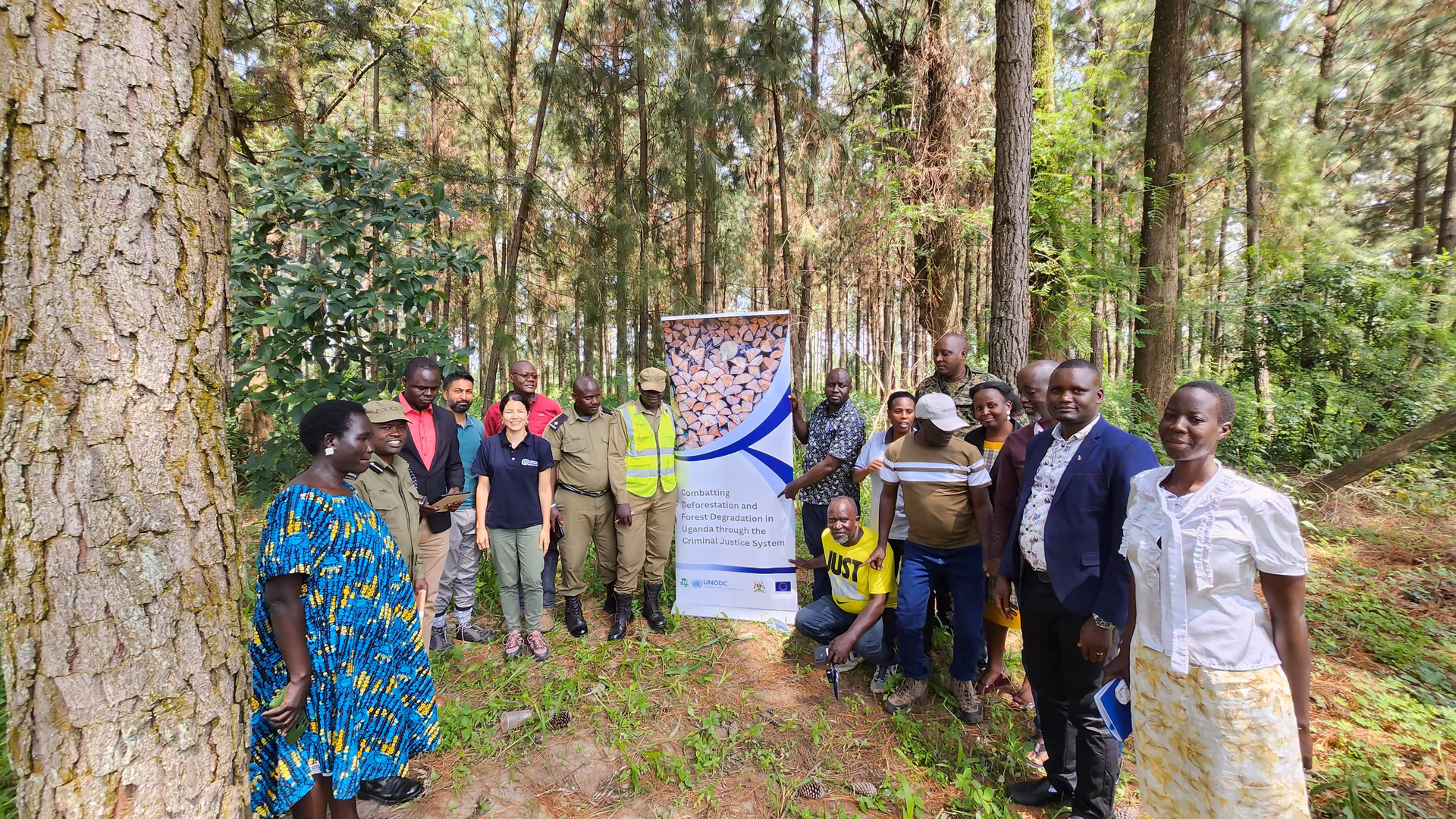 How many hectares of forest are lost a year?