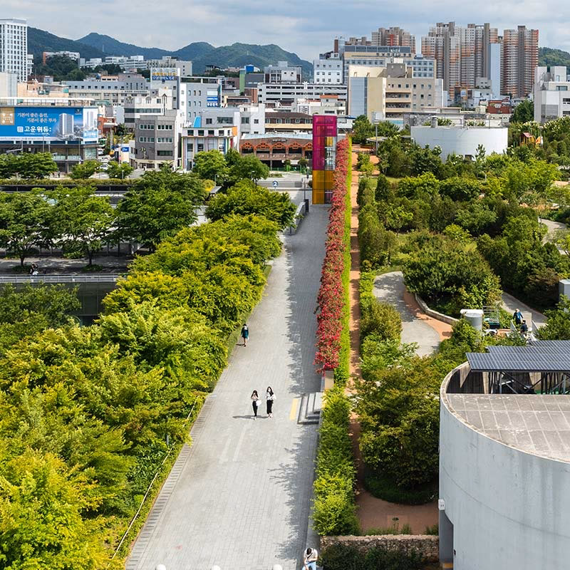 ¿Cuáles son los efectos de la urbanización en la biodiversidad?