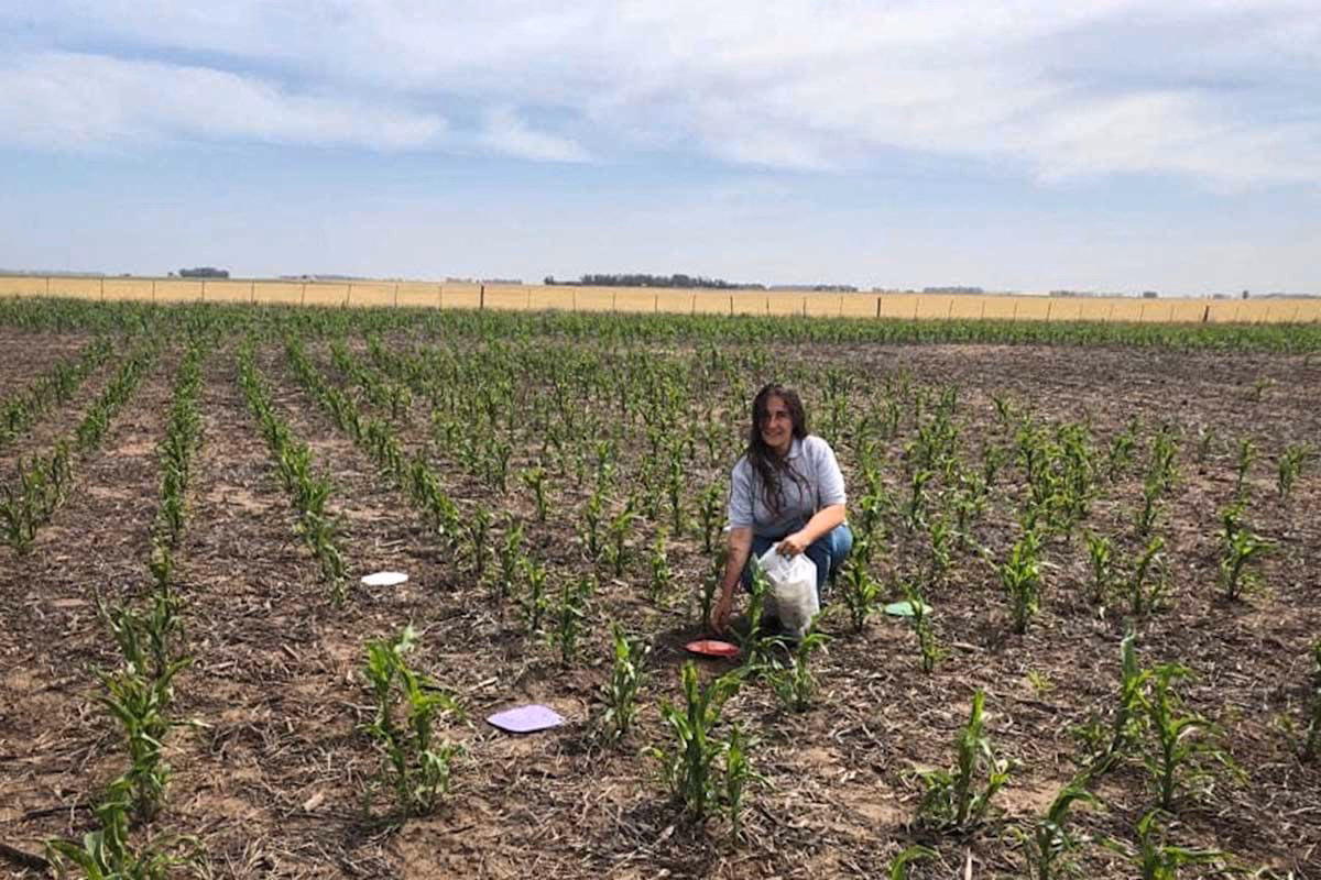 ¿Qué países han prohibido el uso de glifosato?