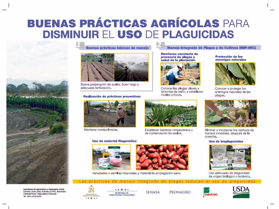 ¿Cuál es el potencial de la agricultura orgánica en Honduras?