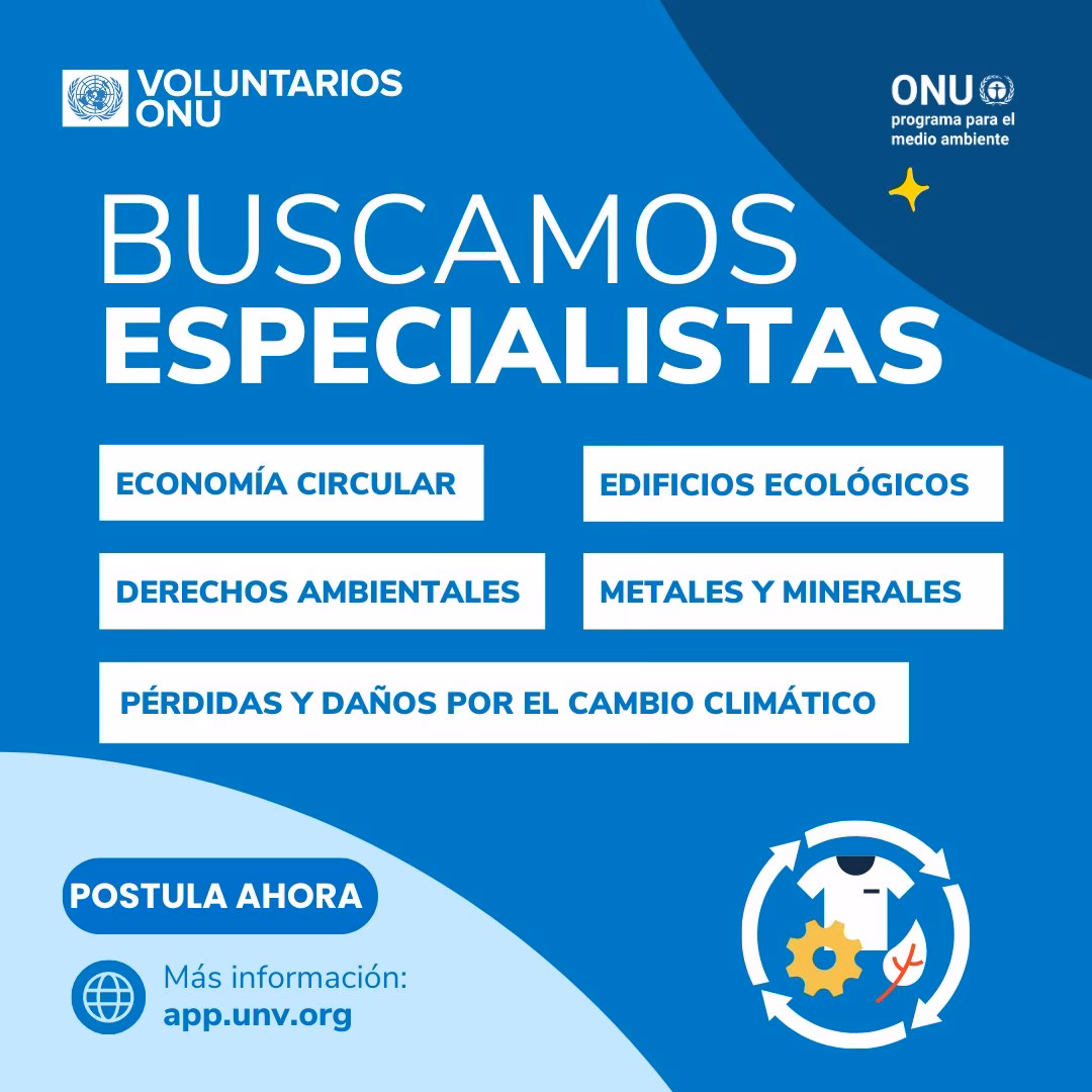 ¿Qué son las campañas ONU Medio Ambiente?