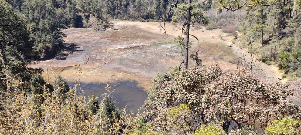¿Cuál es el bioma del Valle de Lerma?