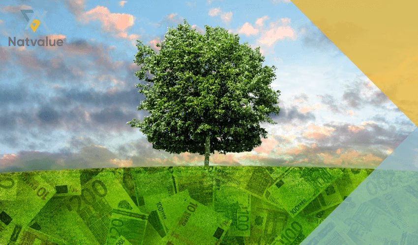 ¿Cómo se calcula el valor de un servicio ambiental?