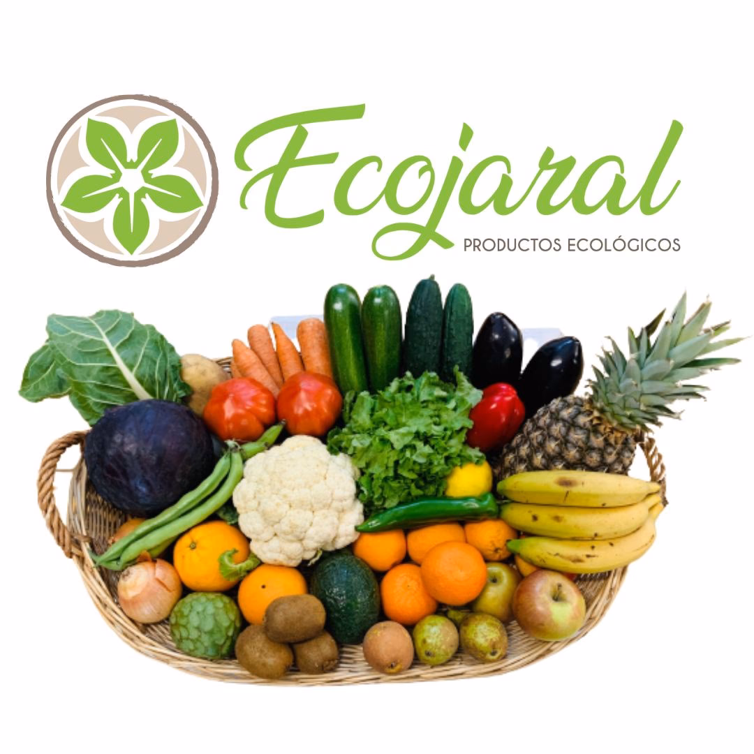 ¿Cuáles son las marcas de productos ecológicos?