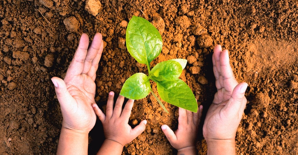 ¿Cuáles son los beneficios de la educación ambiental?