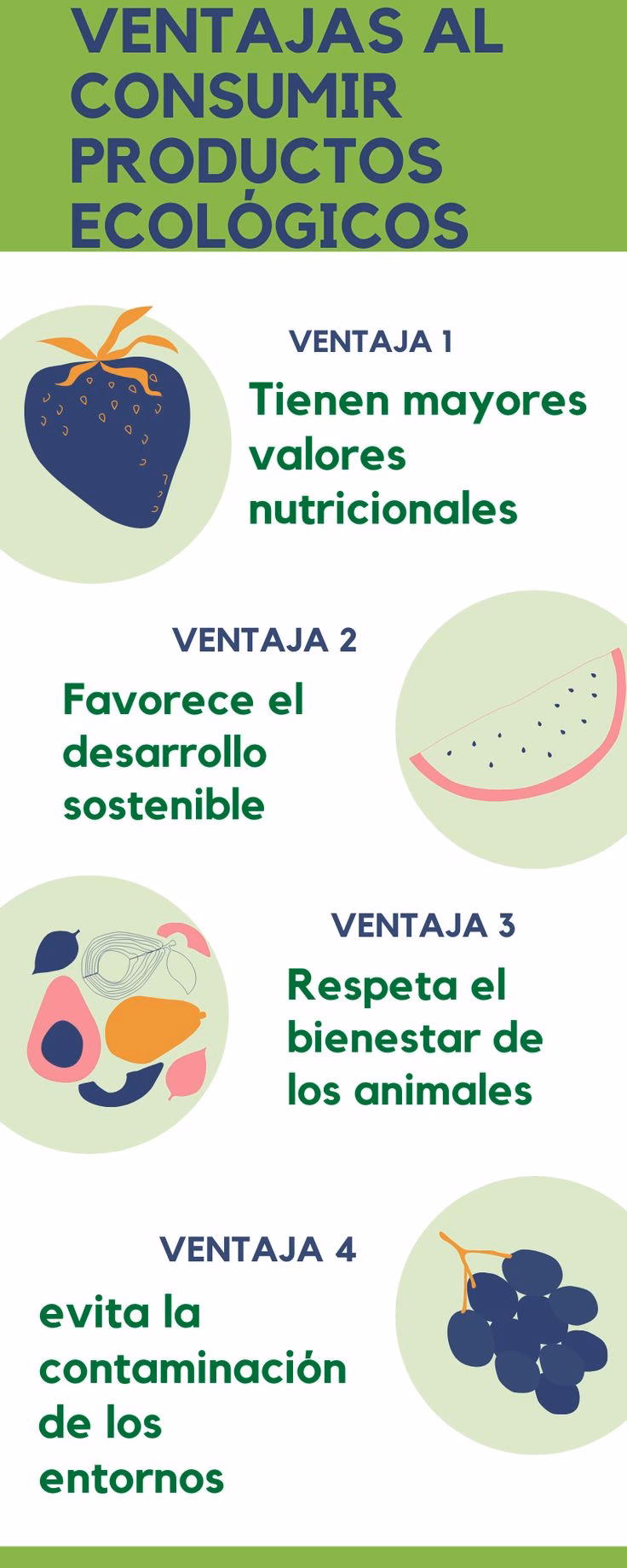 ¿Cuáles son los beneficios de los productos ecológicos?