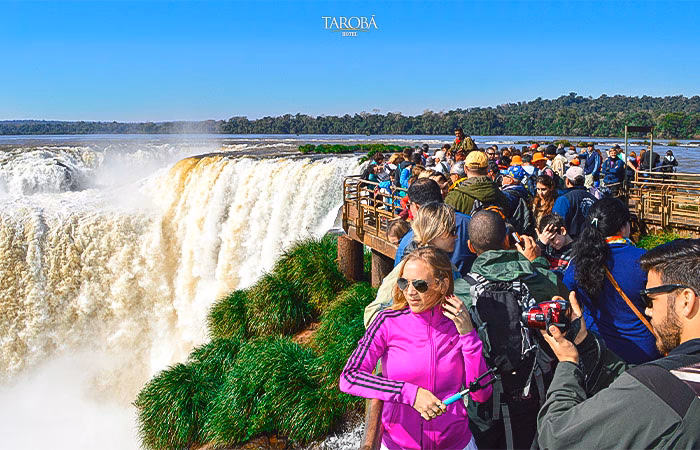 ¿Cómo vivir con cataratas?