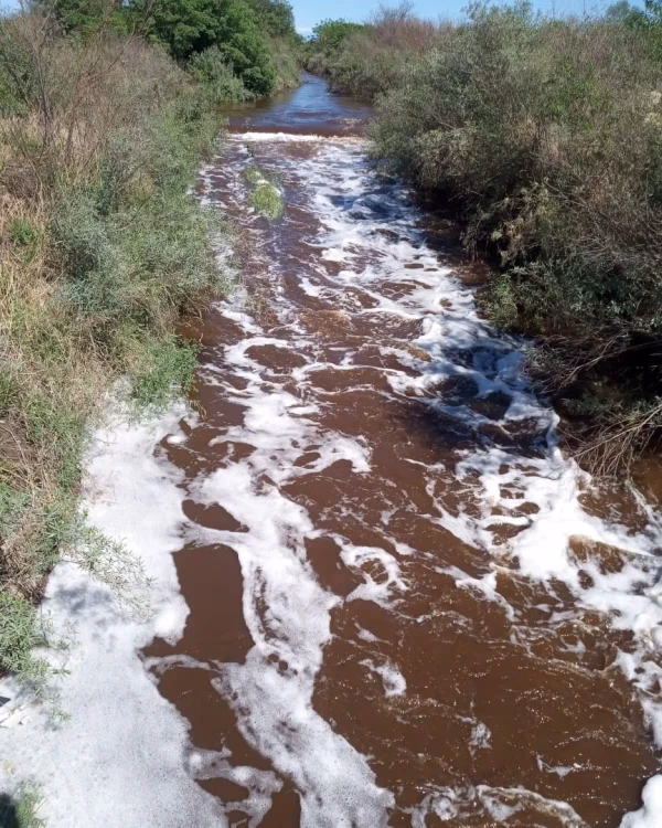 ¿Cuál es el problema de la vinaza?