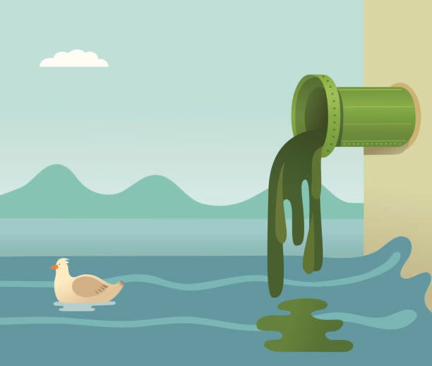 ¿Cuáles son los contaminantes del vino?