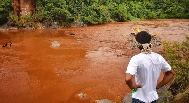 ¿Cómo afectar la violencia ambiental?