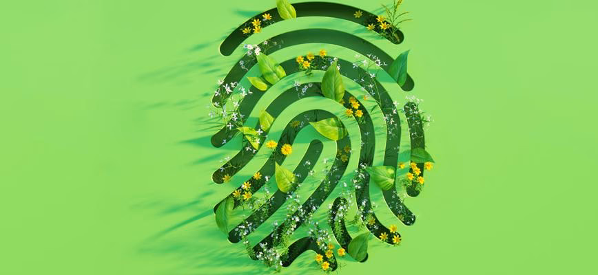 ¿Qué es la sostenibilidad?