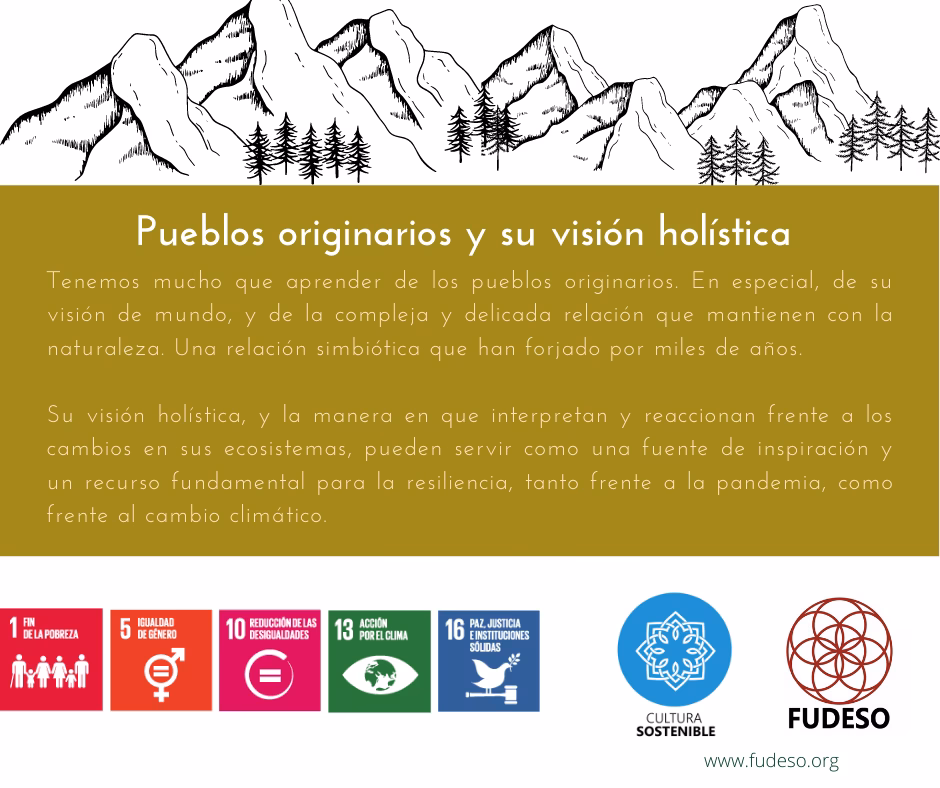 ¿Cuál es la visión no indígena del desarrollo sustentable?