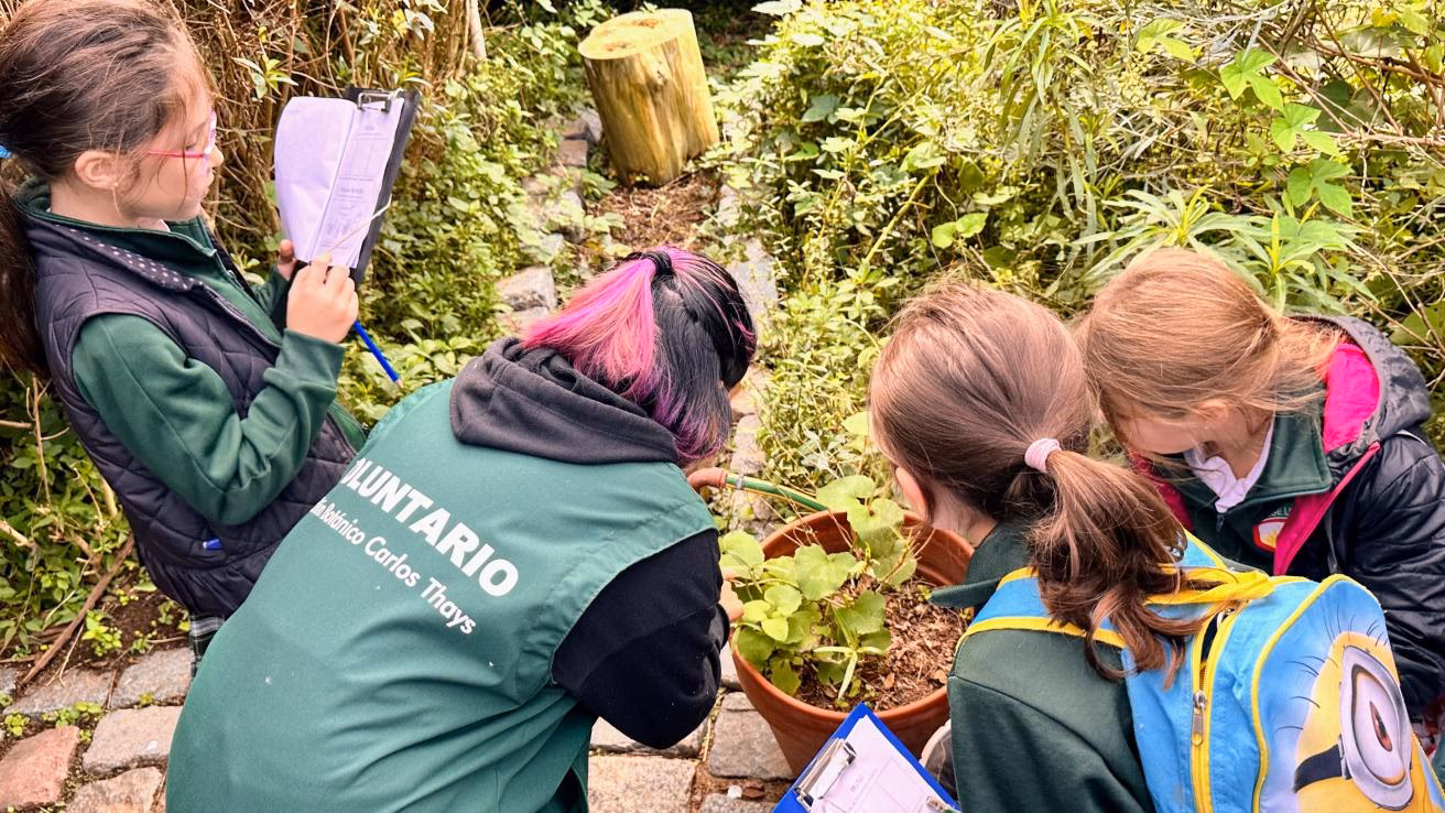 ¿Qué ofrece el programa de voluntariado ambiental intergeneracional?