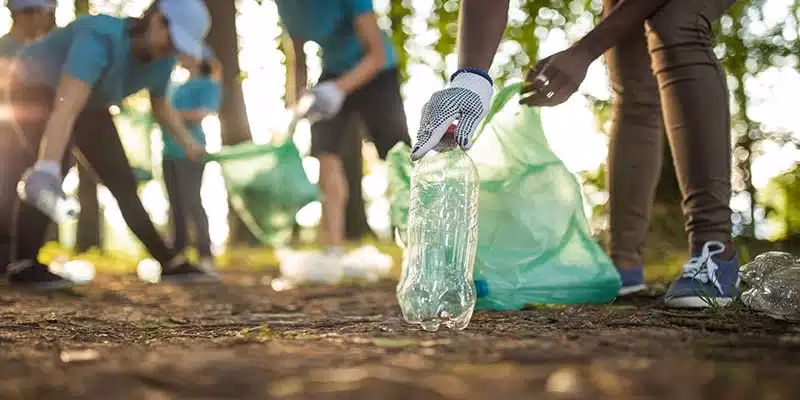 ¿Cómo organizar un voluntariado ambiental?