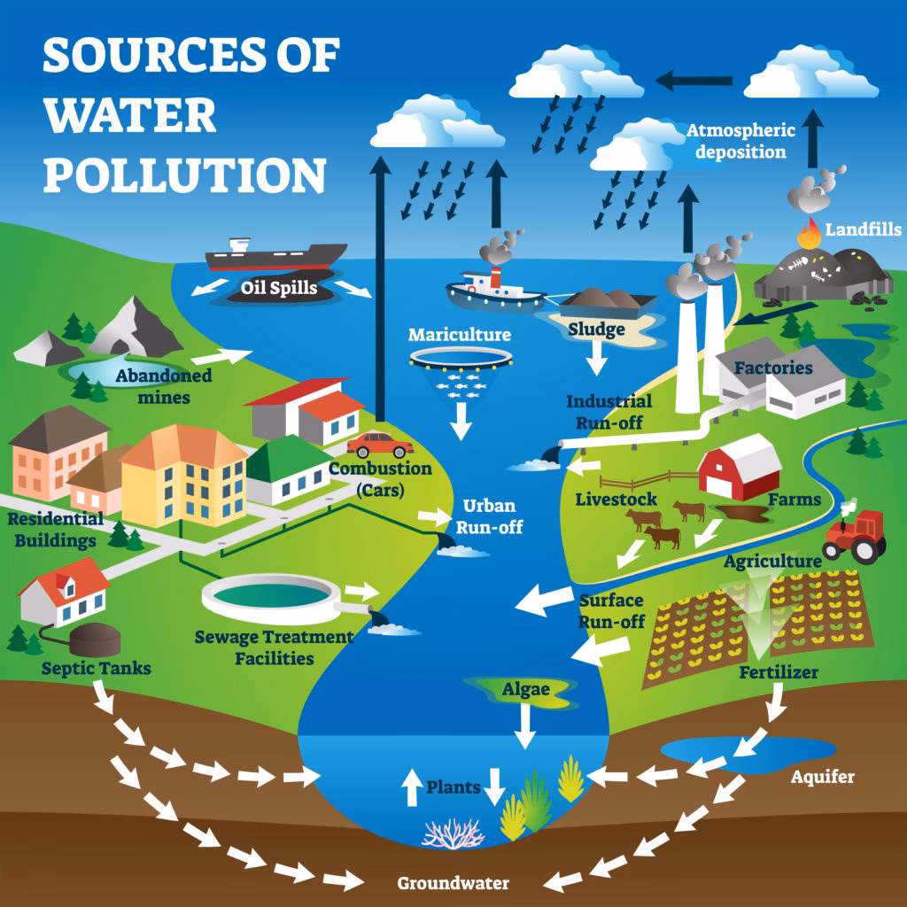 How many people die a year from water pollution?