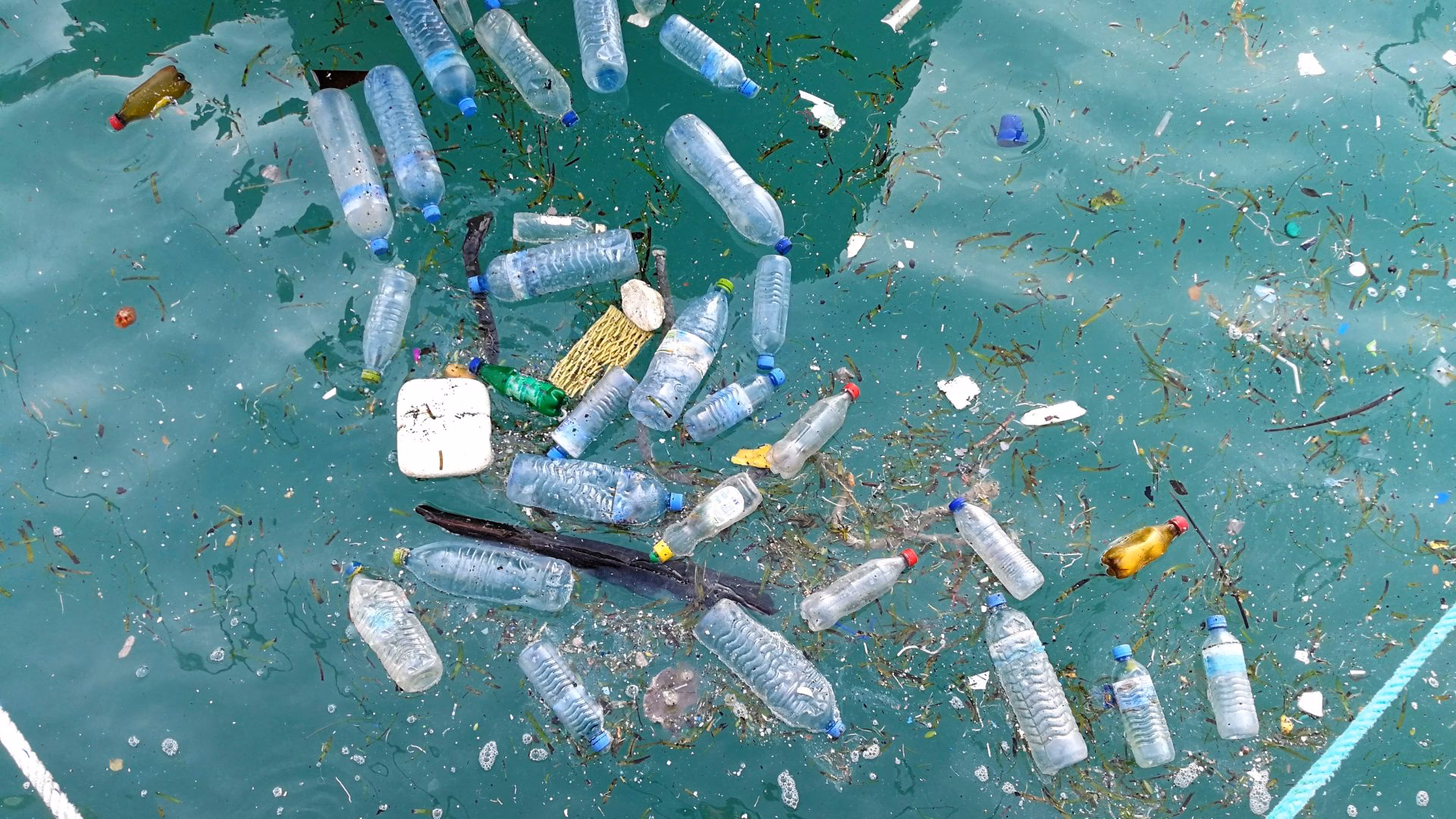 Why is plastic pollution a critical environmental issue?