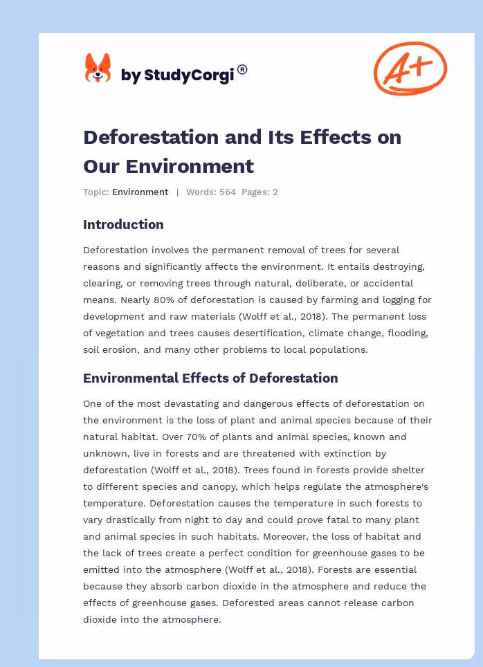 What makes a good deforestation essay?