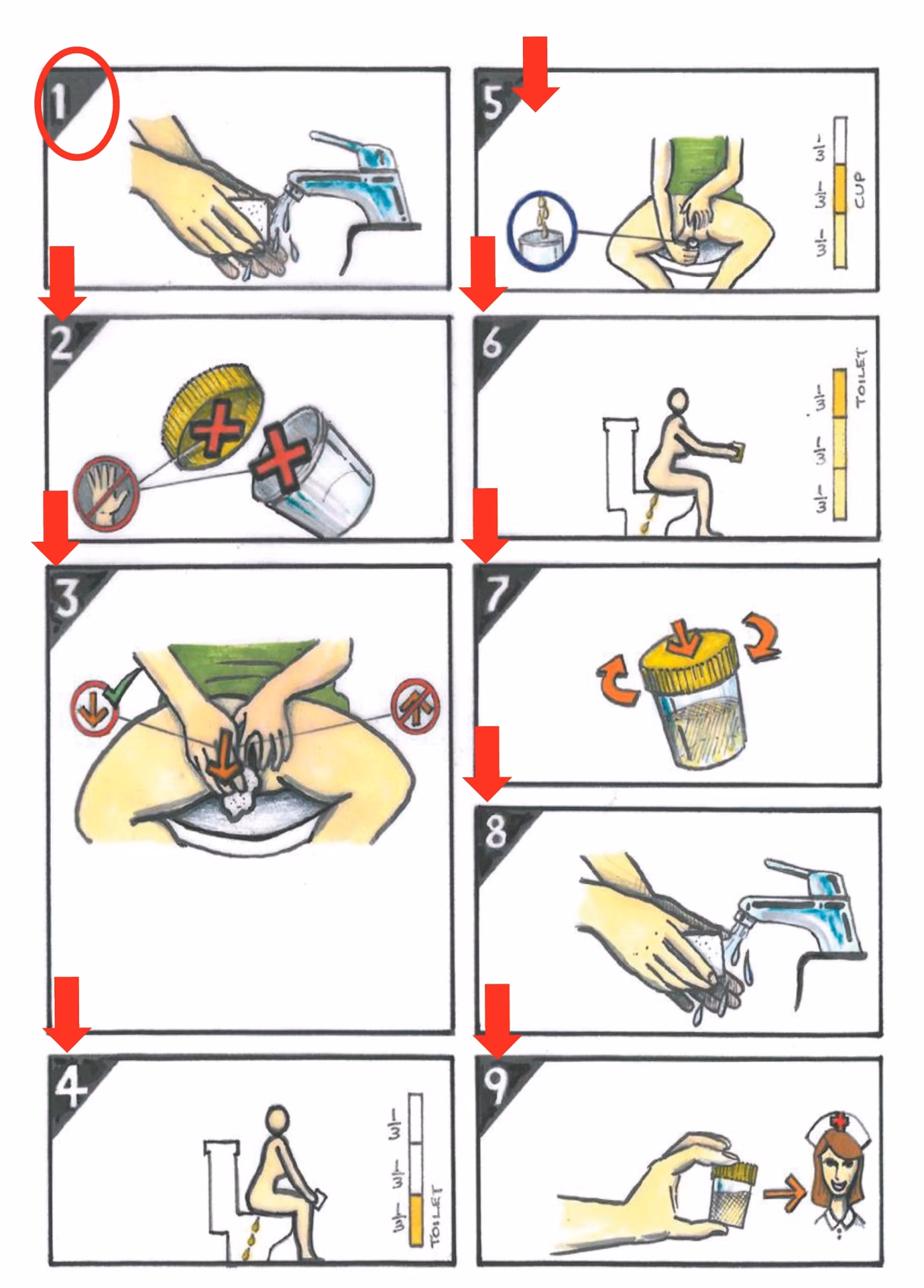 What does a urine culture show?