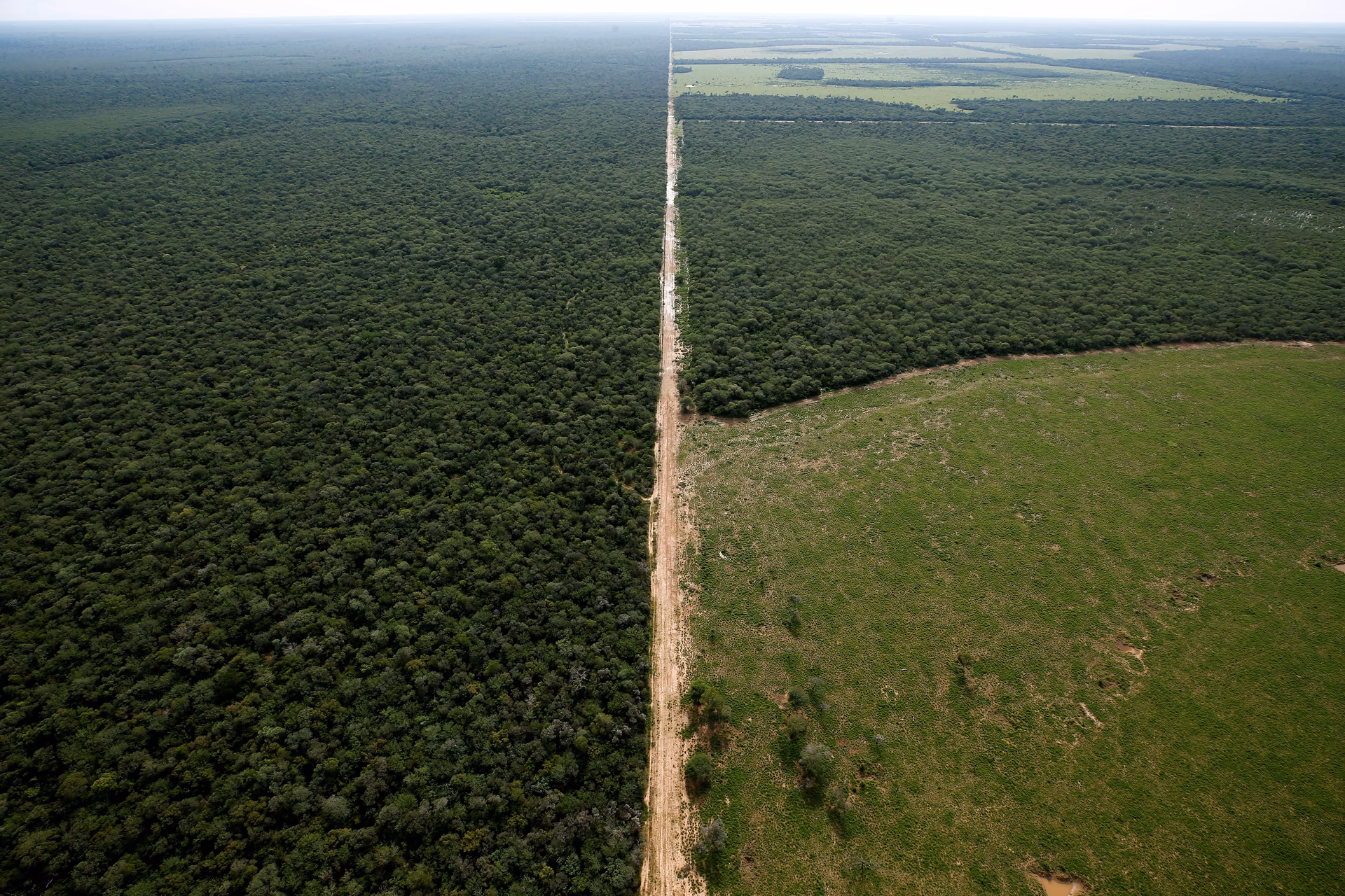 What is the deforestation rate of the Gran Chaco?