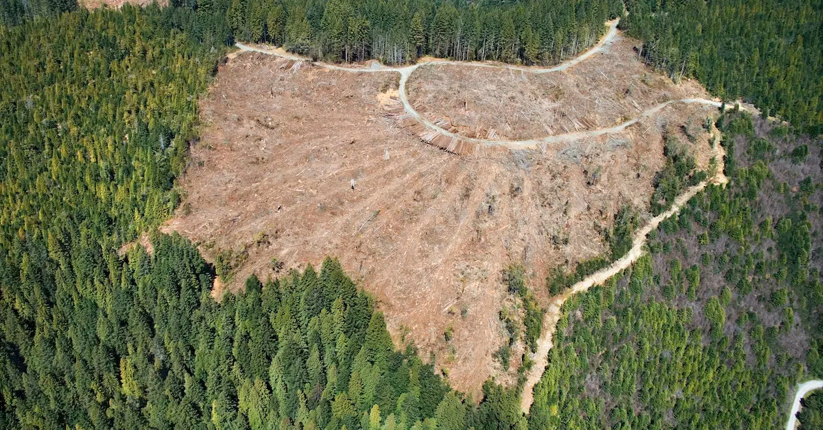 How does deforestation affect Haiti?