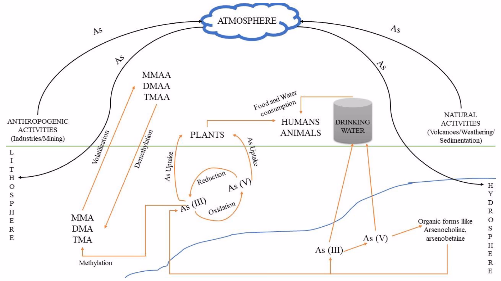 How is arsenic introduced into water?