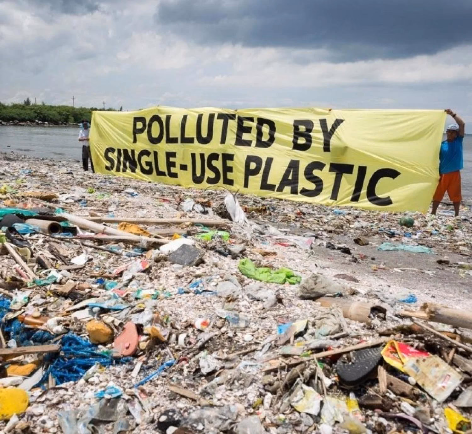 What is the economic impact of plastic pollution?