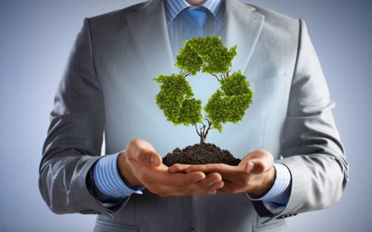 ¿Cuáles fueron las principales preocupaciones de Wilson?