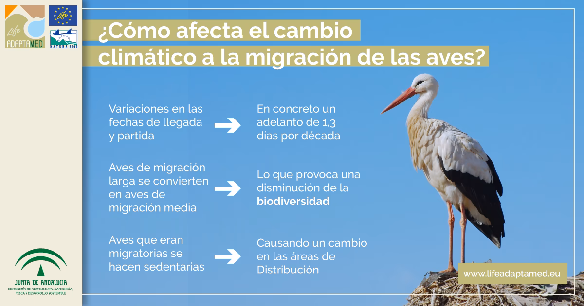 ¿Cómo afecta el cambio climático a las especies?