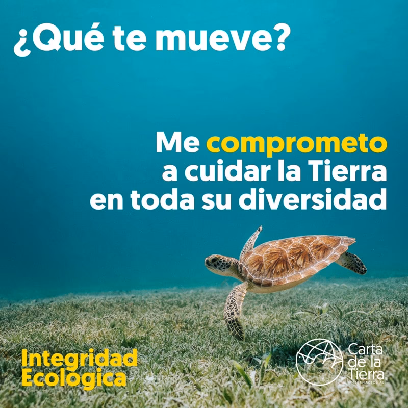 ¿Por qué me comprometo a cuidar a mi planeta?