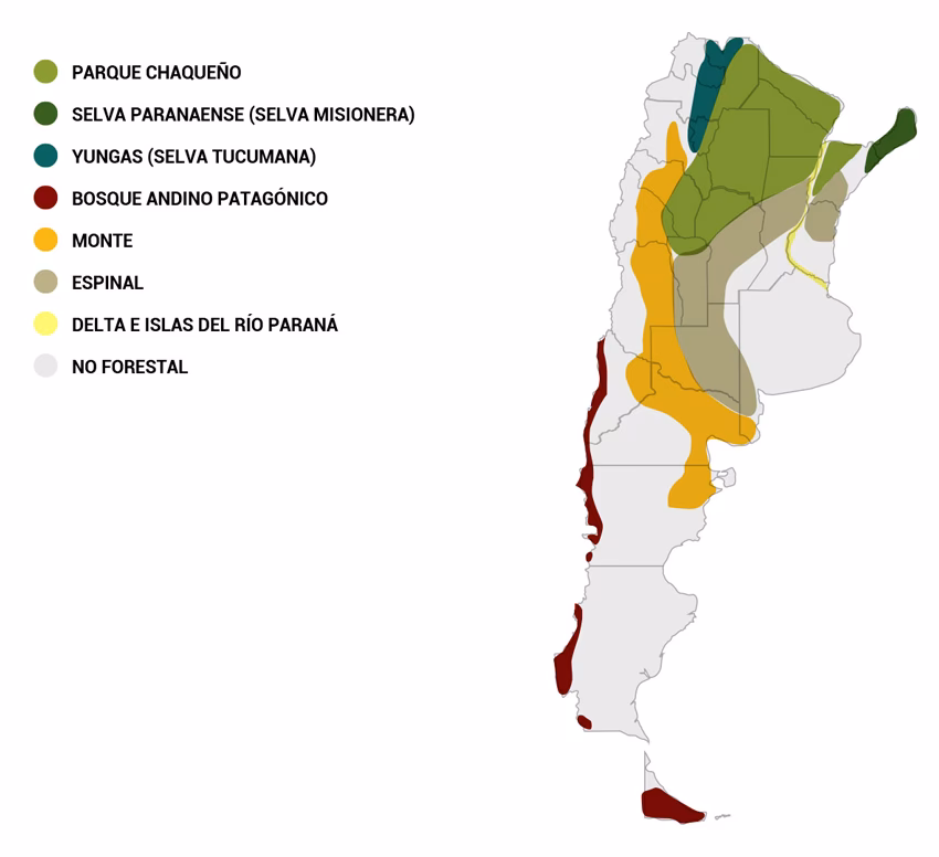 ¿Cuáles son las provincias más afectadas por la deforestación en Argentina?